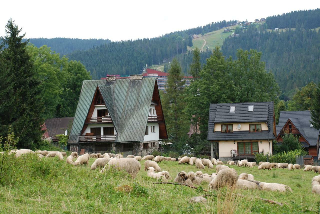 Domek Na Wierchu I Apartament Na Wierchu ザコパネ エクステリア 写真